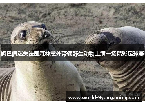 姆巴佩迷失法国森林意外带领野生动物上演一场精彩足球赛