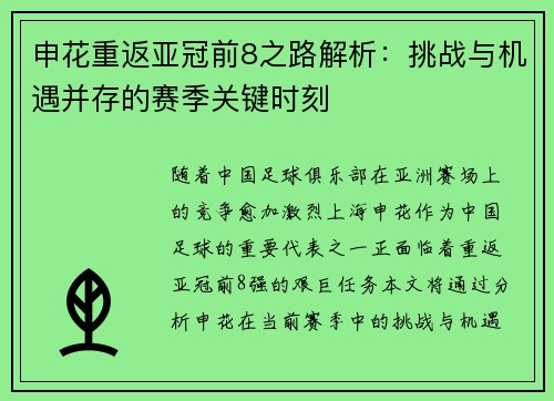 申花重返亚冠前8之路解析：挑战与机遇并存的赛季关键时刻