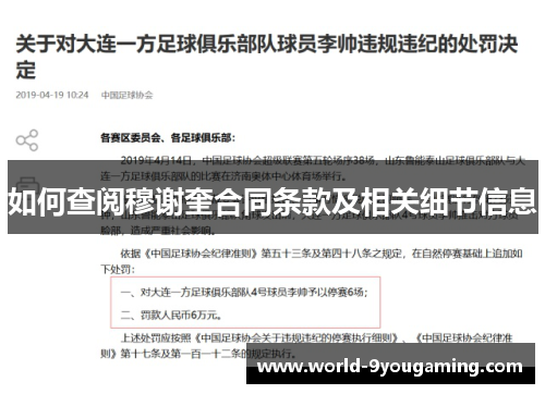 如何查阅穆谢奎合同条款及相关细节信息