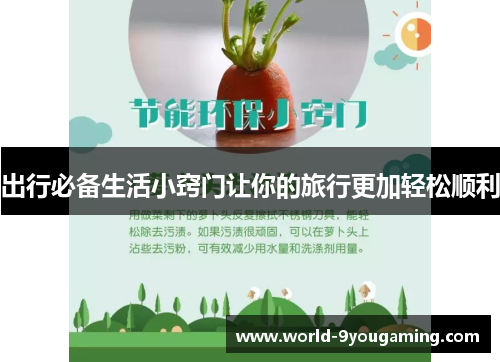 出行必备生活小窍门让你的旅行更加轻松顺利