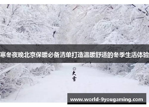 寒冬夜晚北京保暖必备清单打造温暖舒适的冬季生活体验