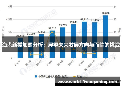 海港新援加盟分析：展望未来发展方向与面临的挑战