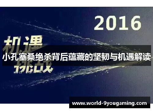 小孔塞桑绝杀背后蕴藏的坚韧与机遇解读