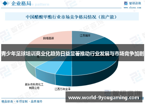 青少年足球培训商业化趋势日益显著推动行业发展与市场竞争加剧