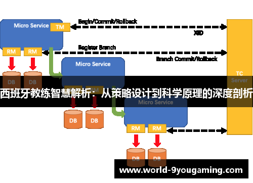 西班牙教练智慧解析：从策略设计到科学原理的深度剖析
