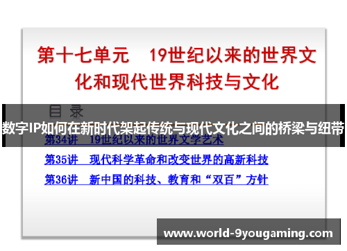 数字IP如何在新时代架起传统与现代文化之间的桥梁与纽带